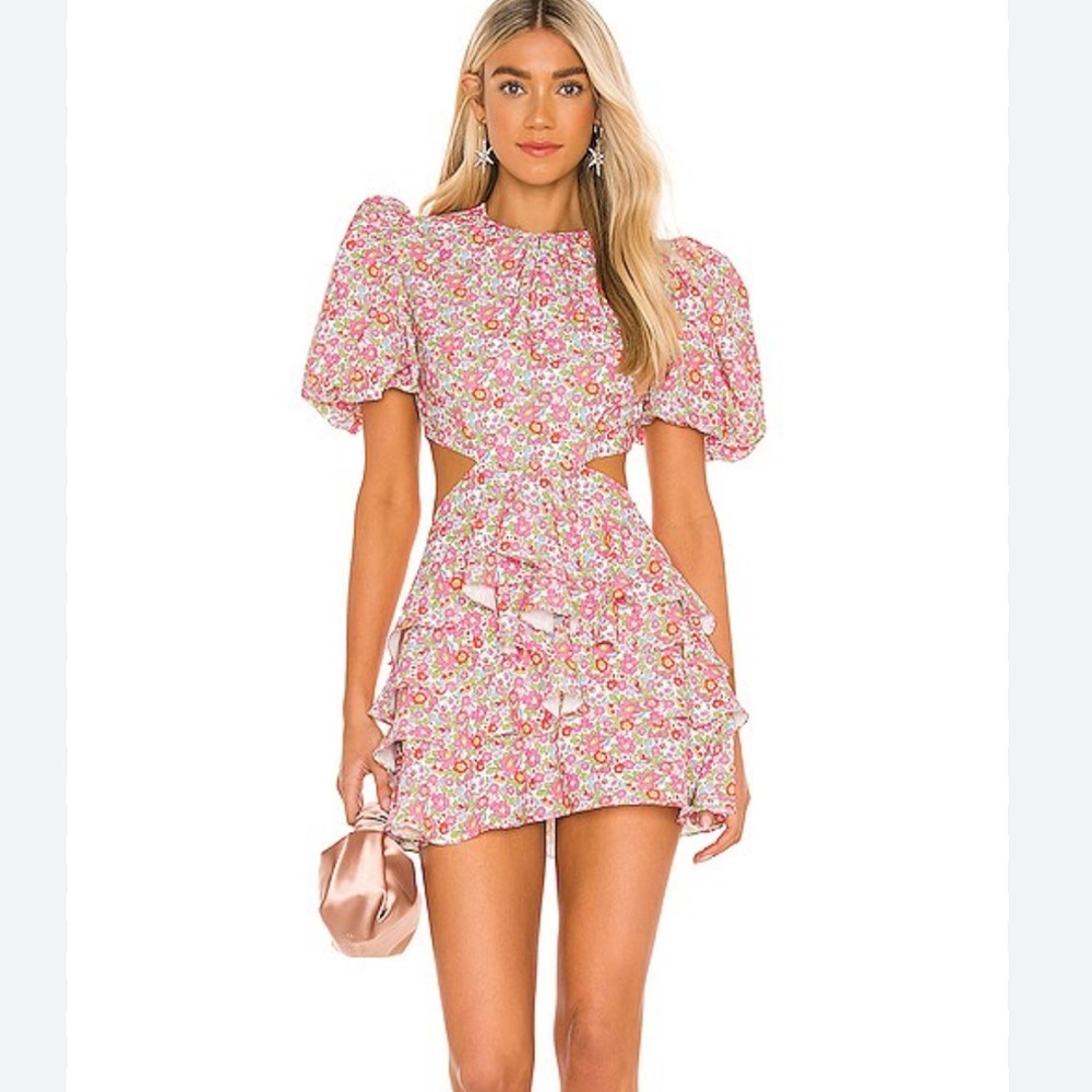 NWT Mergim Dakota floral multicolor mini dress Size 2